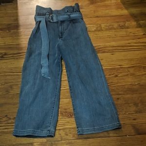 Express High Rise Cropped Wide Leg Jeans